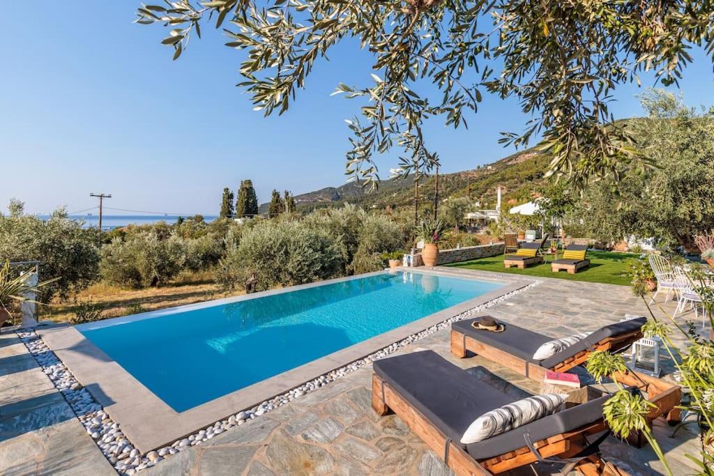 Skopelos Blue Heaven Pool Villa In Olive Grove Exterior photo